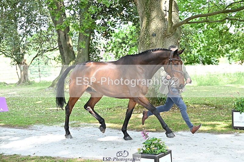 250521A-151552-00383 - B-355-Andrew.James-PRIMITIVE.PROPOSITION