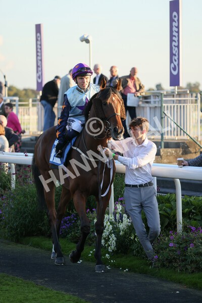 yr08102021r7-17 - Race 7 5.25pm The IRE Incentive, It Pays To Buy Irish Handicap
