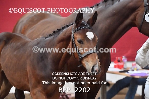 BPP_2202 - AFTERNOON 12.30 - 3.30PM