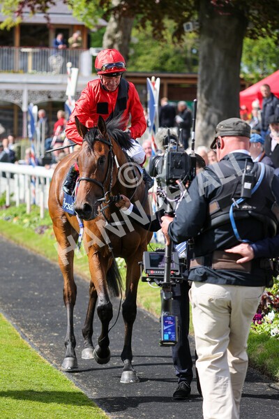 yr11052022r4-41 - Race 4 3.35pm Tattersalls Musidora Stakes