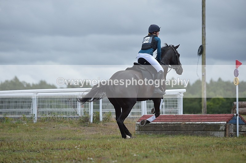 NGP_2954 - XC Time 11:59 to 12:15