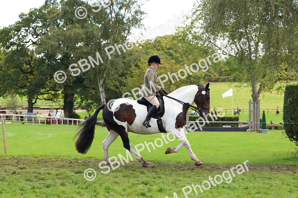 SBM_45221 - S27 - Young Veteran Ridden