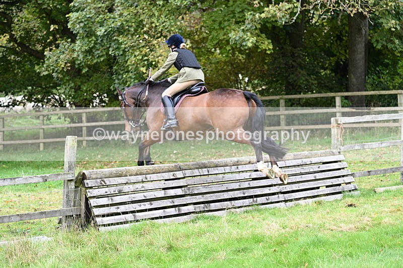 WJ7_4737 - Camera 1 Line 3