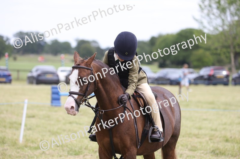 20260614-3032 - Class 22 - Open Working Hunter