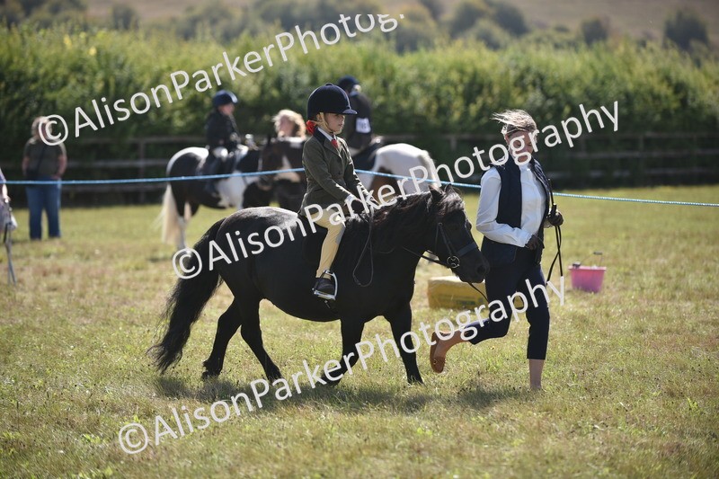 20260906-1755 - Class 11 - 13hh and Under