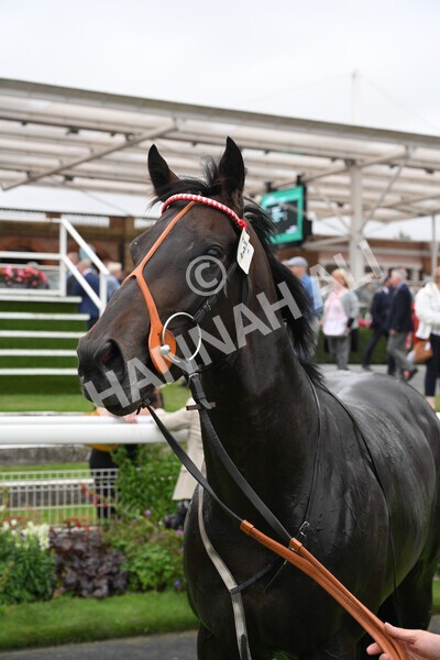 yr24092021r2-54 - Race 2 2.05pm William Hill Extra Places Races Stakes