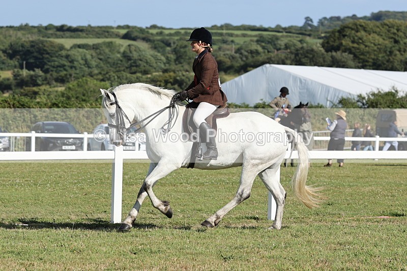 JPP_3062 - Class 20: Working Hunter 70cm