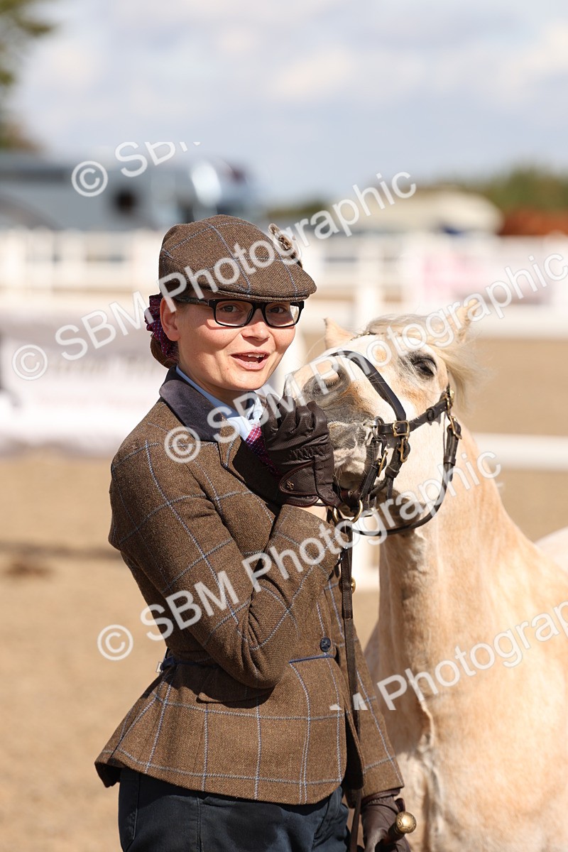 SBM_14120 - Class 207 - IH M&M