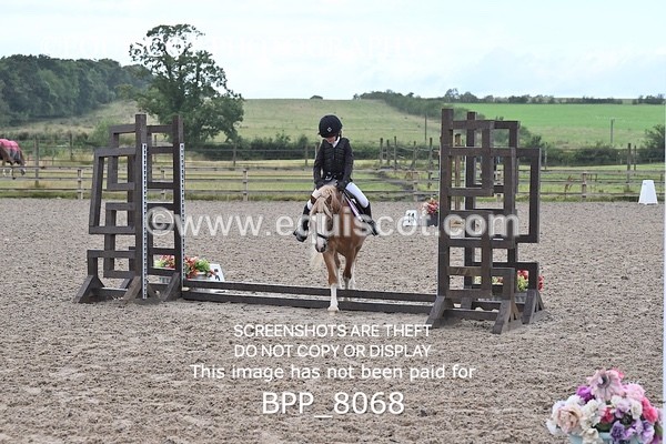 BPP_8068 - 20CM