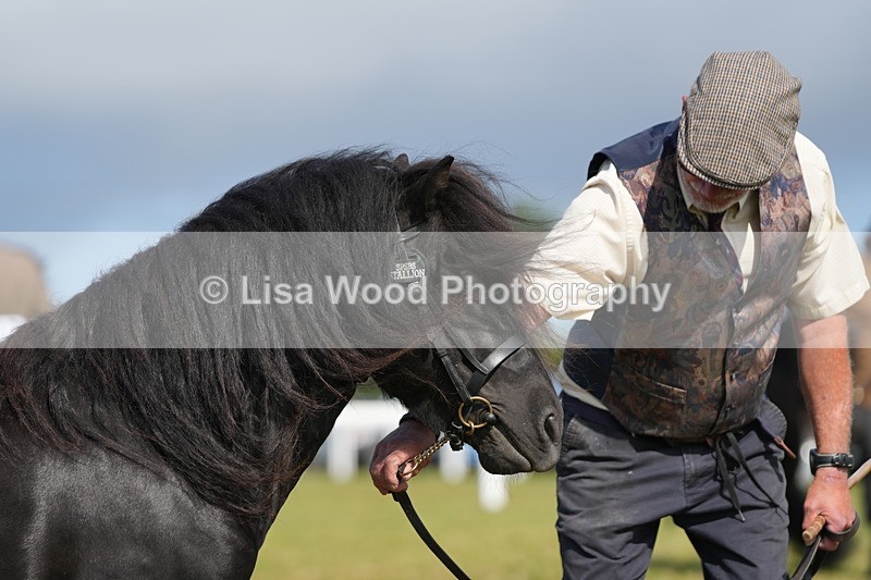 DSC05311 - Class 49: NPS Shetland 4 years and over