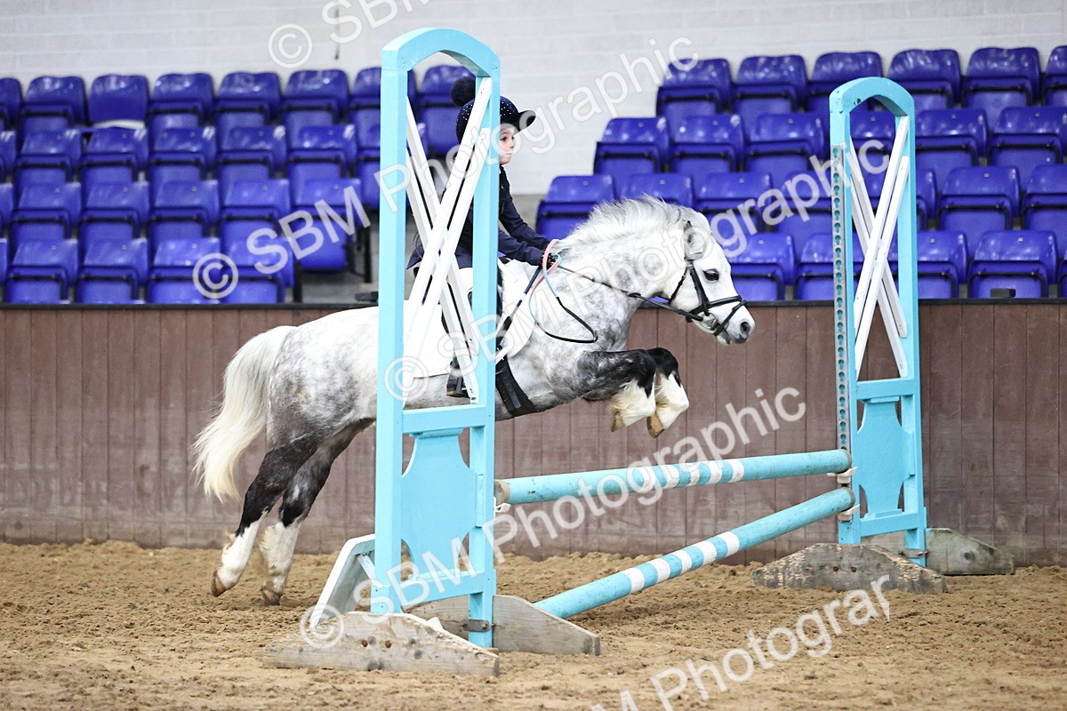 SBM_000705 - class 3 - 60cm