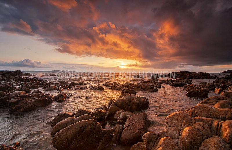 Urris Coast - Nature