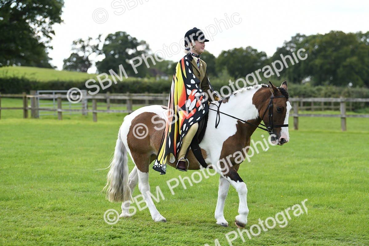 SBM_46700 - S12 - Family Horse & Pony