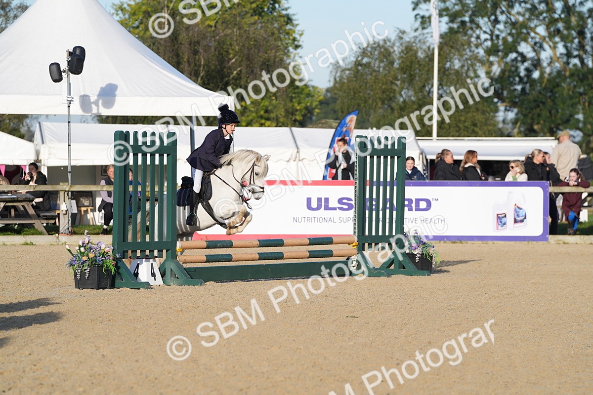 SBM_34303 - J62 - Clear Round 50cm