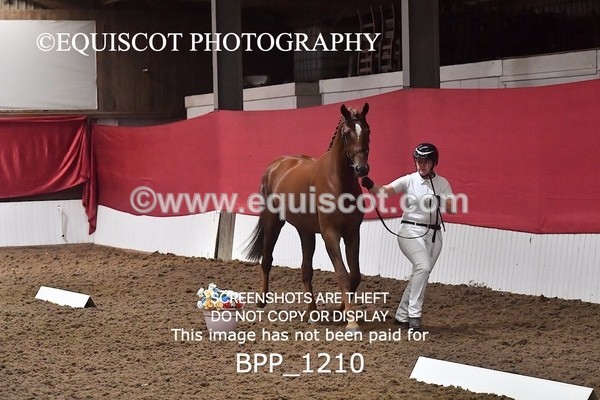 BPP_1210 - MORNING 9AM - 12PM