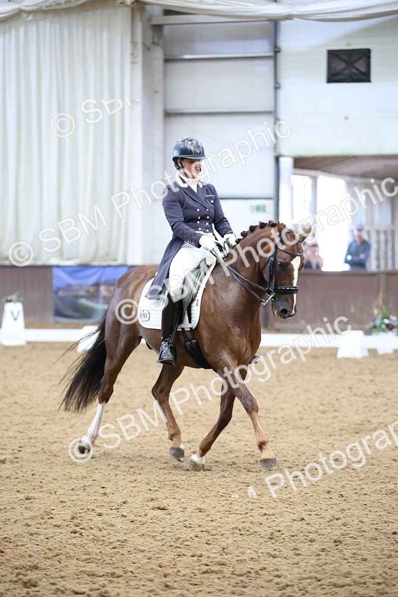 SBM_004849 - Class 9 - FEI Inter 1 Gold - 16.59-17.47