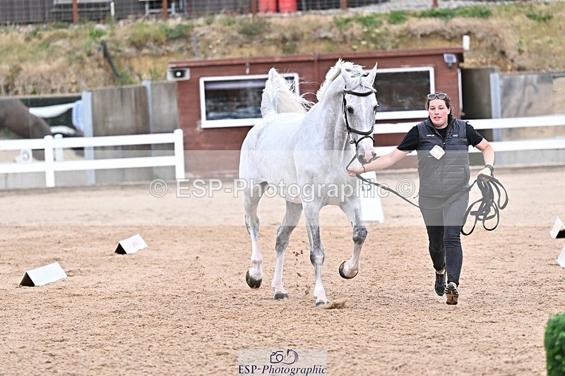 250716-164835-00776 - Trot Up 4.30 to 5.00