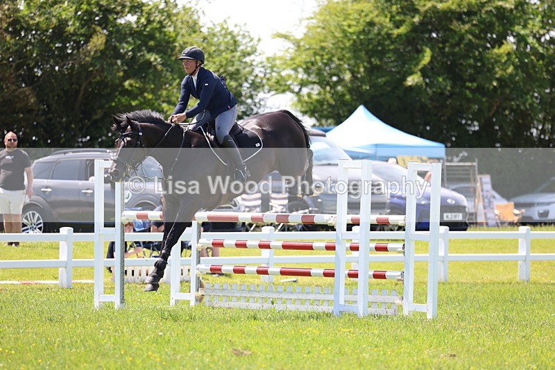 3E7A1227 - Class 12: Senior Foxhunter/1.20 open