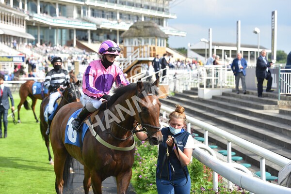 yr09072021r7-6 - Race 7 5.30pm William Hill Extra Place Races Stakes