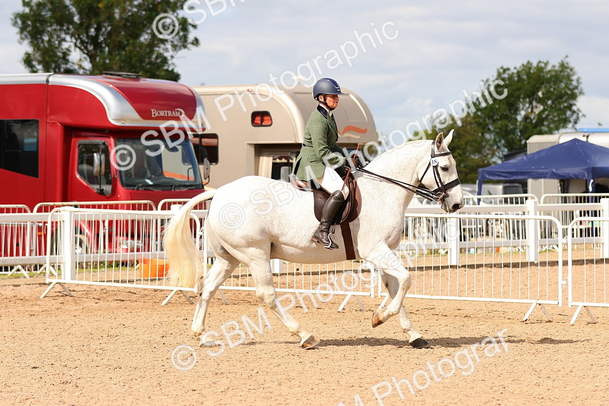 SBM_15494 - Class 214 - Ridden Show Cob