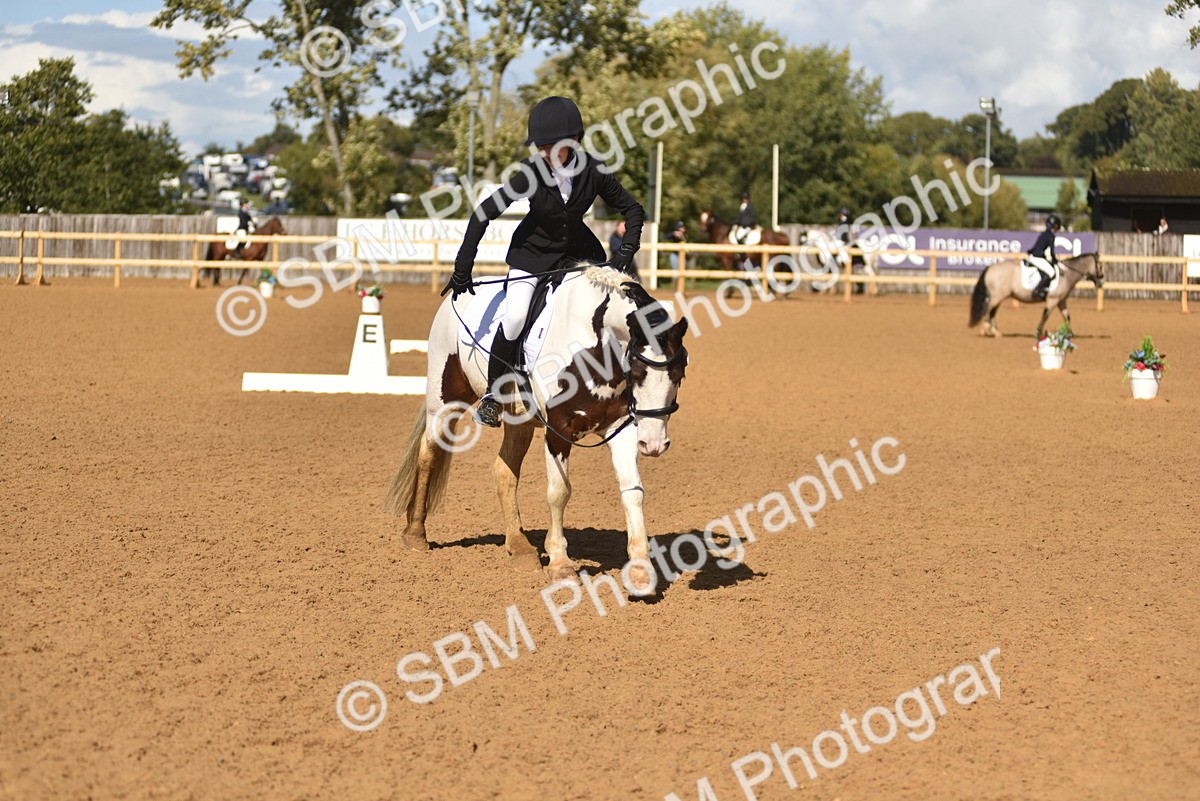 SBM_48706 - D22 - Junior Championship Intro 3
