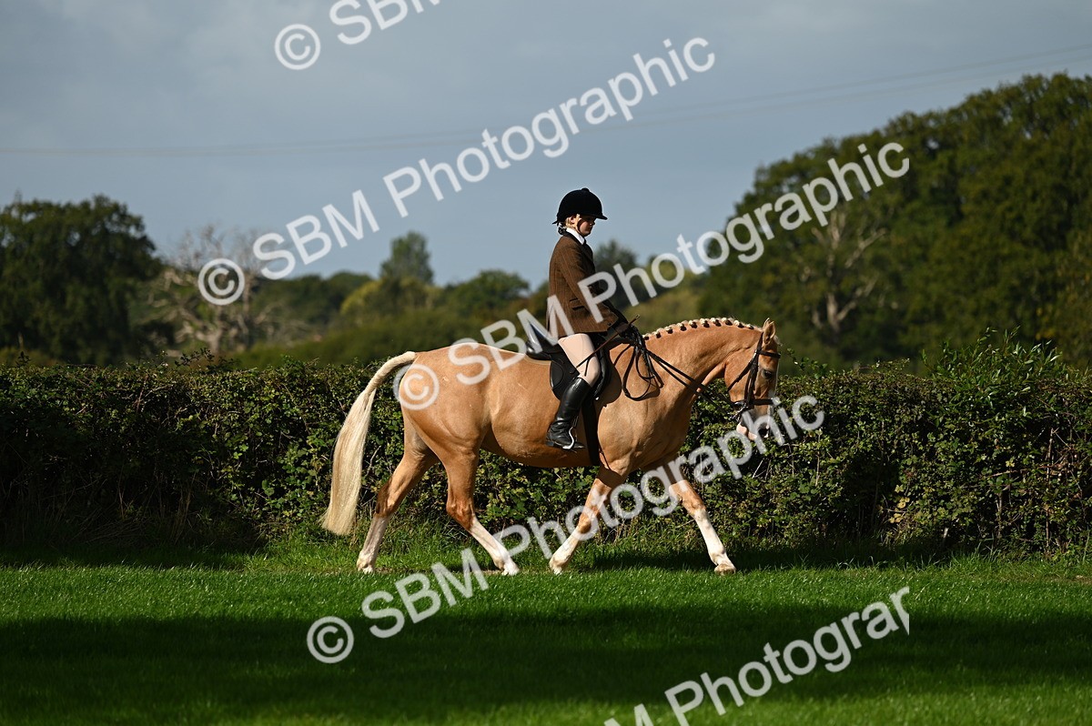 SBM_01350 - S2 - TSR Ridden Horse Showing