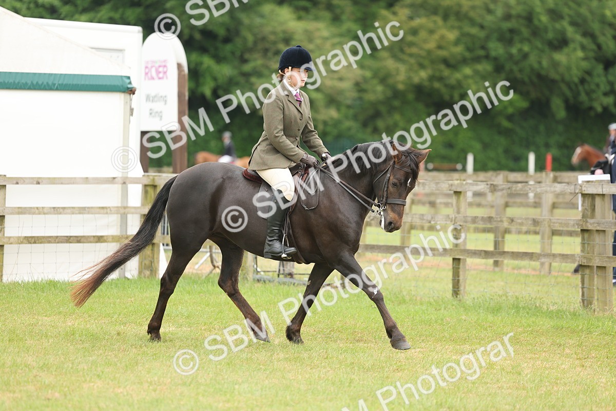 SBM_09086 - Class 78-80 - Ridden M&M Non Welsh Ponies