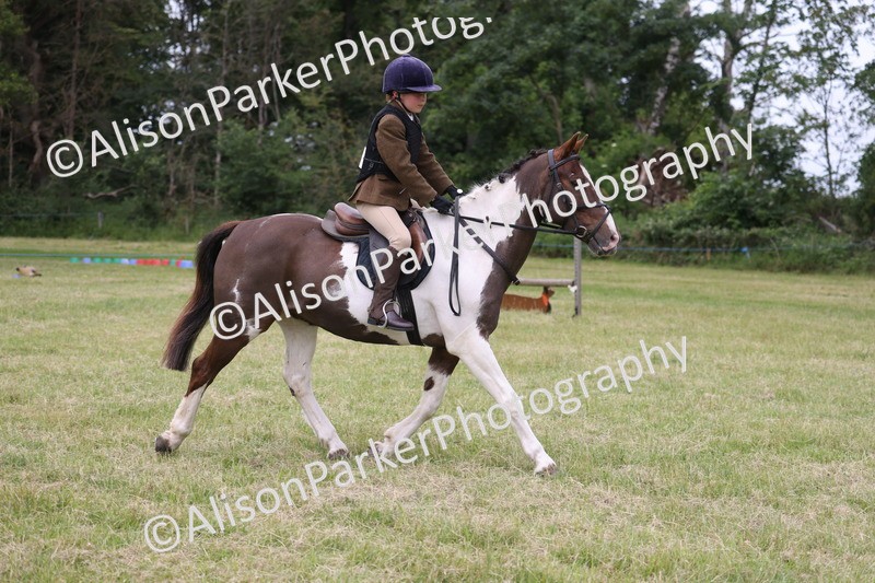 20260614-3063 - Class 22 - Open Working Hunter