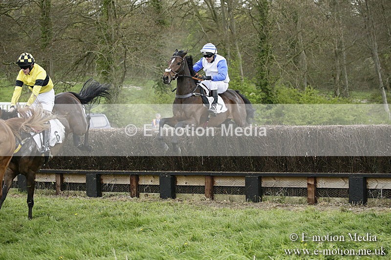 PtP 170417 515 - Old Berks Point-to-Point Lockinge 17/04/17