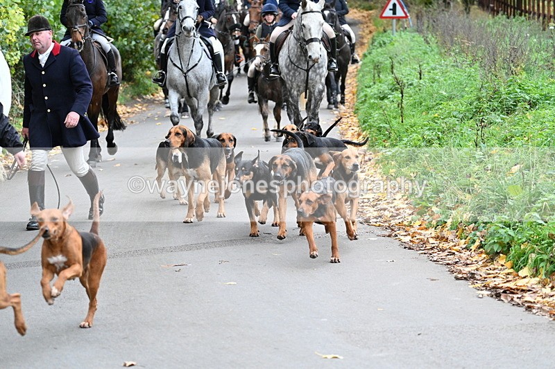 WJ7_7191 - Walk Home..