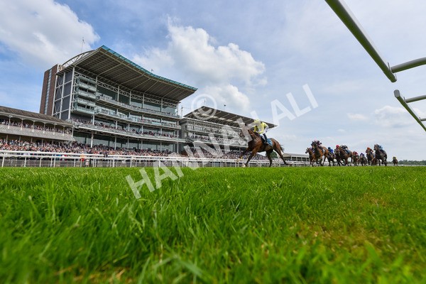 170524-Race 2-Botanical-6191 - Race 2 2.45pm Knights Solicitors Handicap