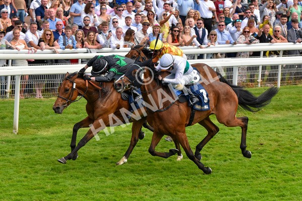 270523-Race 4-River of Stars-4361 - Race 4 3.15pm William Hill Bronte Cup Fillies' Stakes