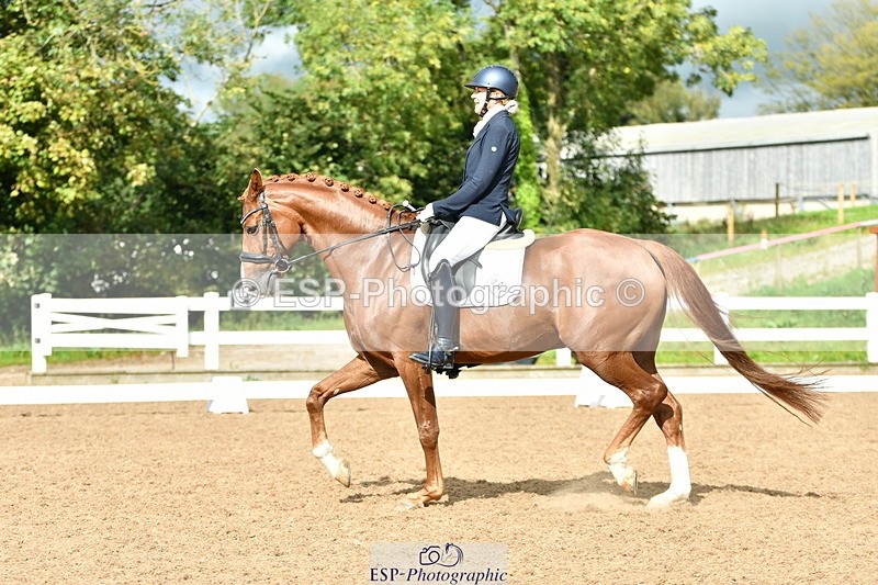 230912A-151942-01542 - Cls 13 Adv Medium 91