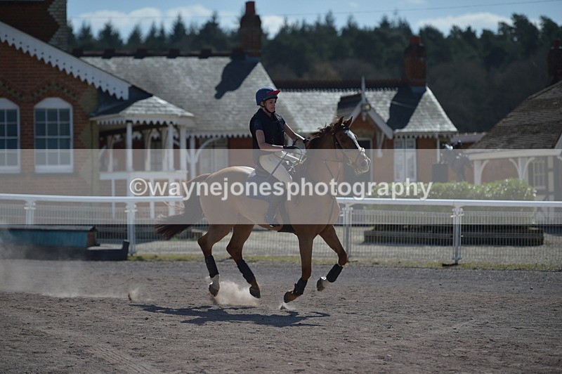 NGP_8000 - XC Time 13:22 to 13:28