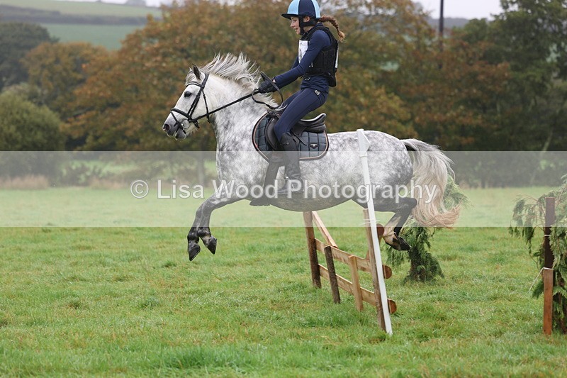 3E7A0784 - Class 1: 65cm: Rails