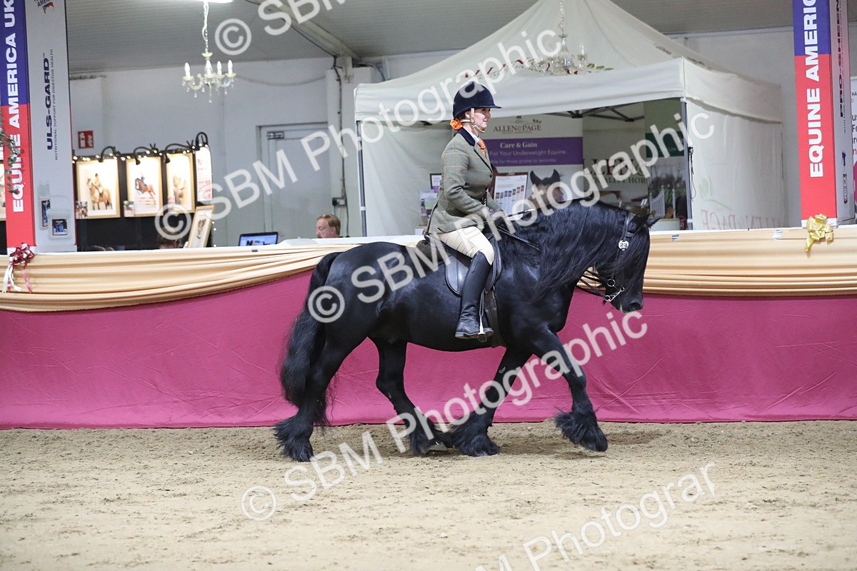 SBM_08508 - Class 11R Regional Ridden Veteran