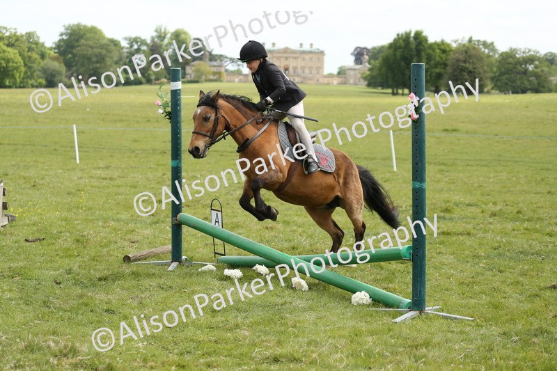 20250517-2936 - Class 25 - Horse & Hound