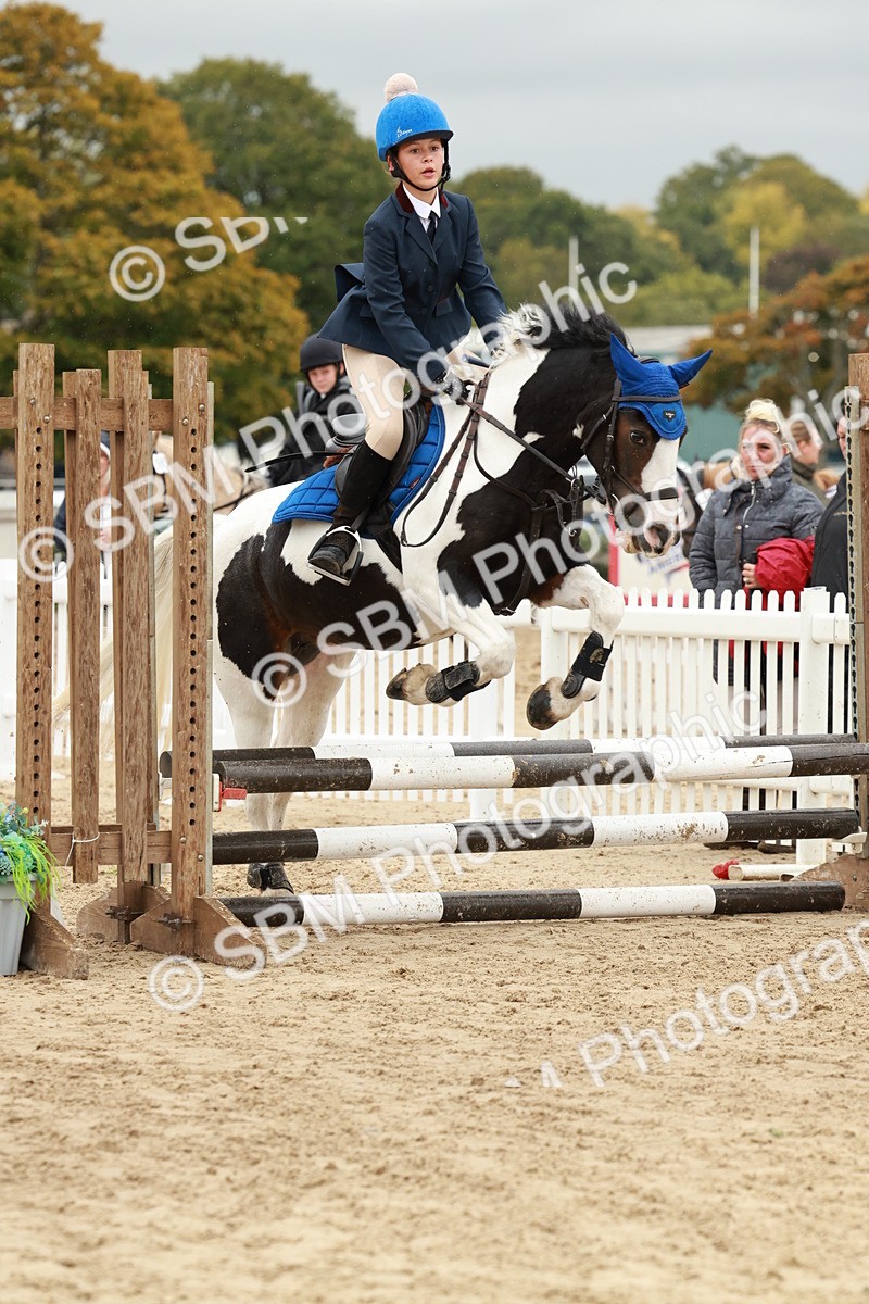SBM_69086 - J13 - Junior Pony 60cm Championship