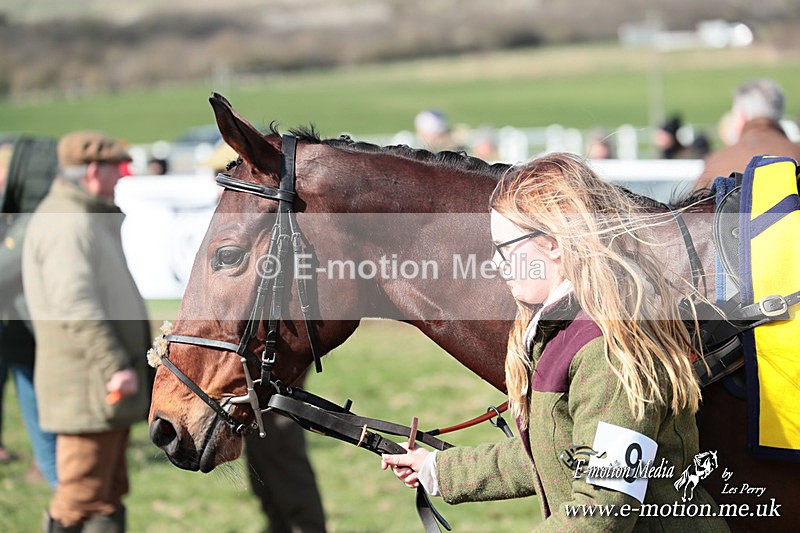 PtP 230324 232 - Tedworth Hunt PtP Larkhill Raccourse 23rd March 2024