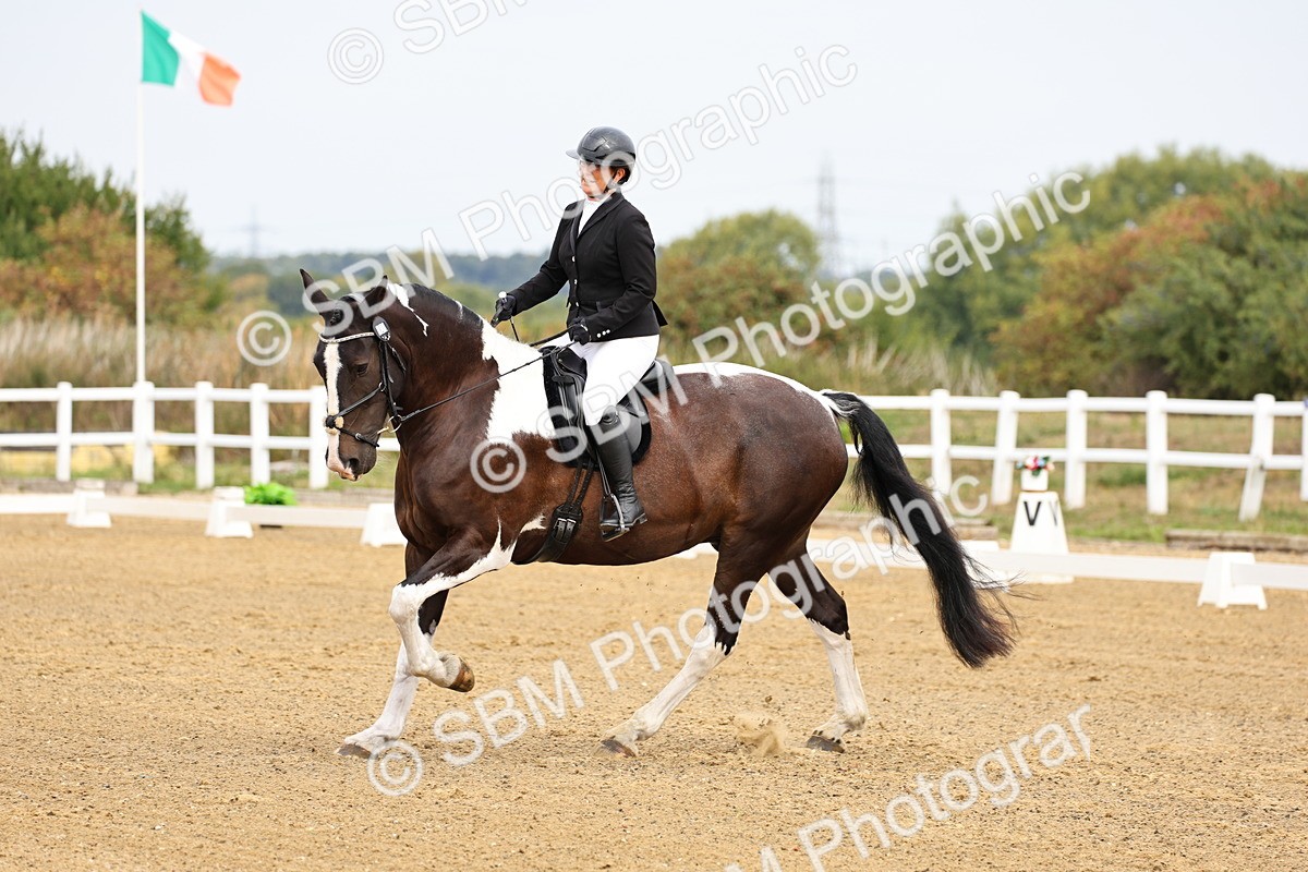 SBM_011411 - Class 1 - Prelim 4