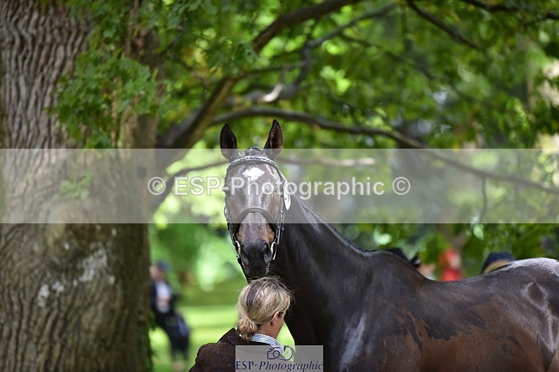 240522-153844-00496 - 370-STORM_IN_DECEMBER-Claire_Fielding