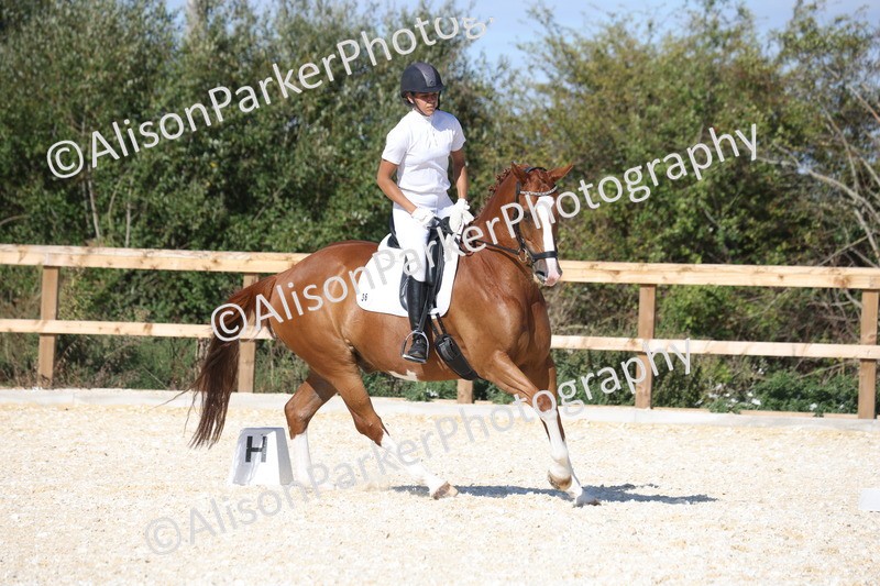 20260905-1542 - Class 5 - Novice 2