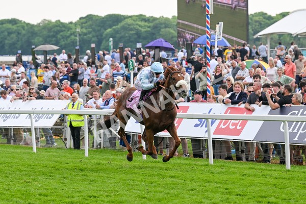 170524-Race 4-Giavellotto-8085 - Race 4 3.45pm Boodles Yorkshire Cup Stakes