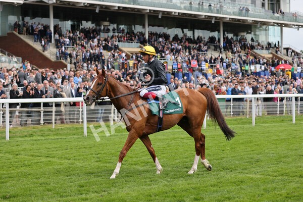 yr13052022r4-86 - Race 4 3.35pm The Paddy Power Yorkshire Cup (British Champions Series Race)