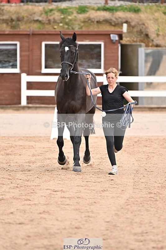 250716-151147-01746 - Trot Up 2.30 to 3.30