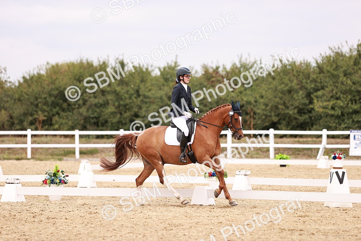 SBM_019300 - Class 20 - Medium 5