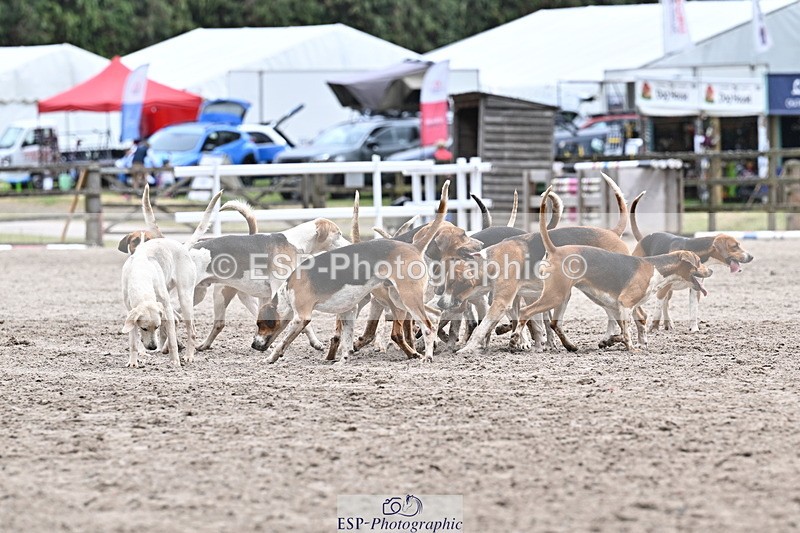 250524A-152355-12728 - East Devon Hounds