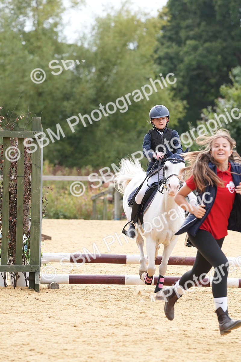 SBM_70630 - J3 - Mini Tour Junior Pony 40cm Championship