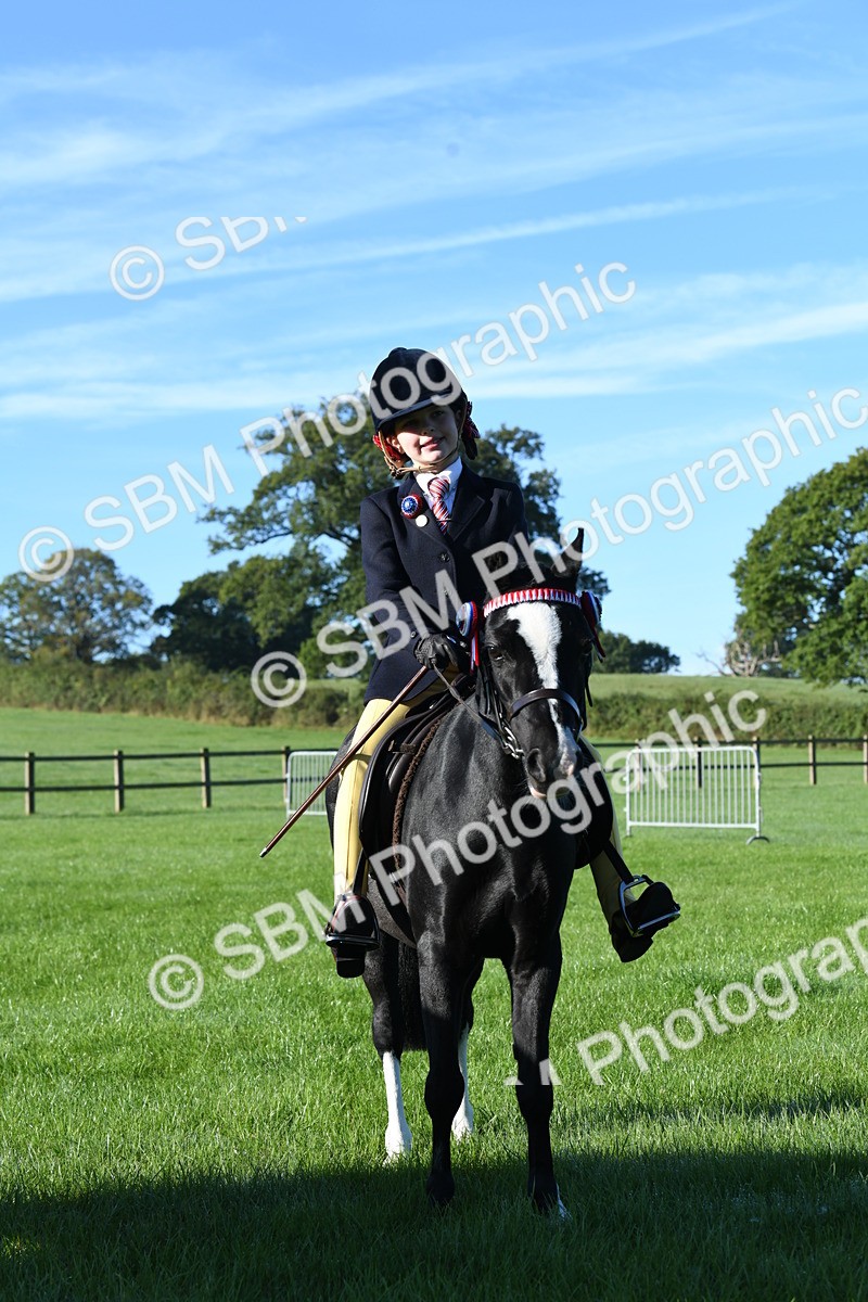 SBM_34039 - S16 - Condition & Turnout - Ridden