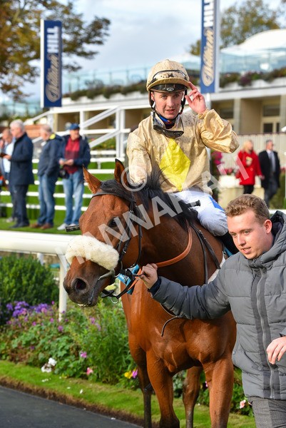 131023-Race 5-Irish Nectar-9766 - Race 5 4.25pm Parsonage Hotel And Cloisters Spa Nursery Handicap